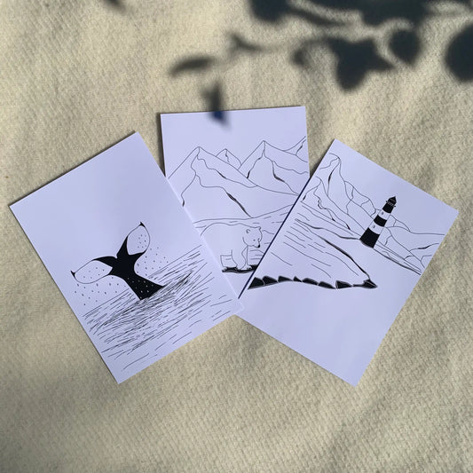 Příroda Severu - Kolekce ilustrací