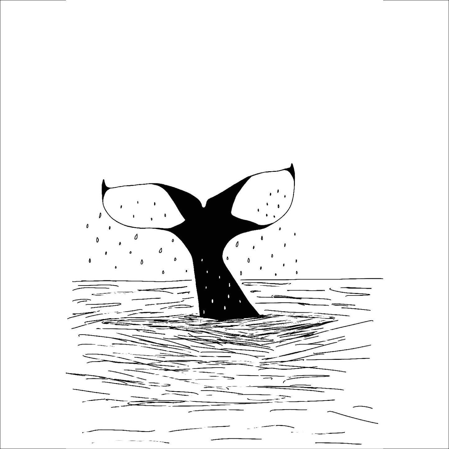 Příroda Severu - Kolekce ilustrací