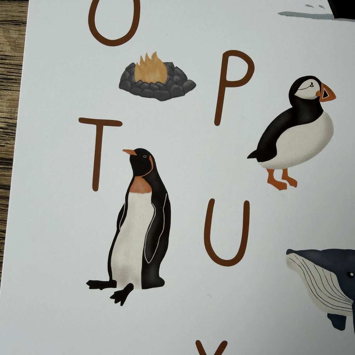 Detail plakátu Abeceda s ilustracemi tučňáka a papuchalka