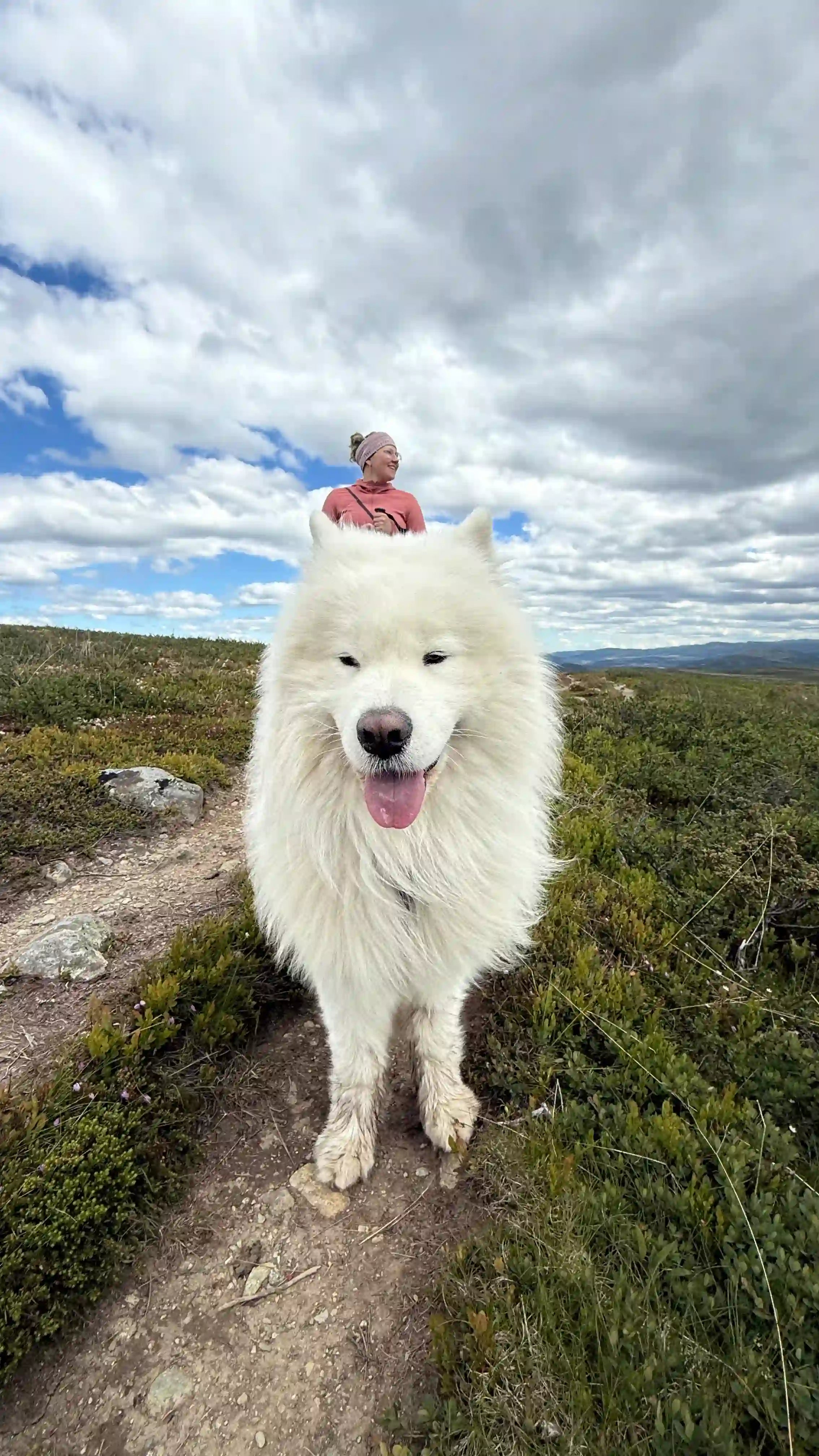 Sněžík, samojed Kousek Severu